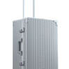 Vertical Overnight Carry-On 21&quot; Valise en platine 3