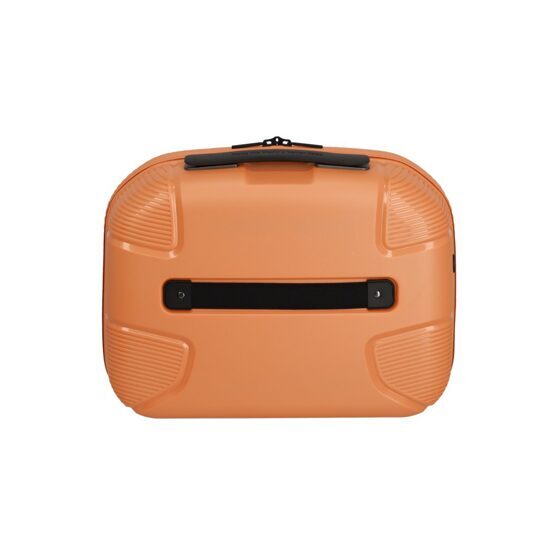 IP1 - Beautycase, Abricot de jardin