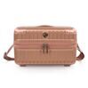 Luxe - Beauty Case en or rose 1