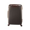 Nice Valise en Bronze 66 cm 2